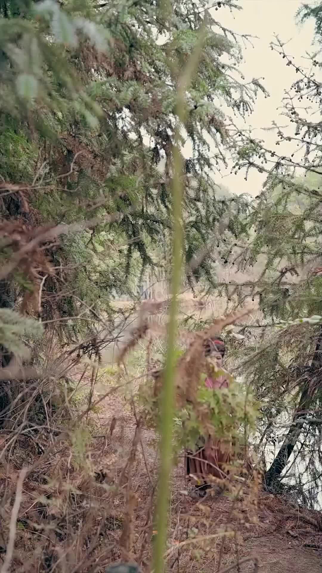 Episódio 6 - O Pai dos Gêmeos é um Príncipe